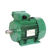 Động Cơ Điều Khiển Leroy Somer