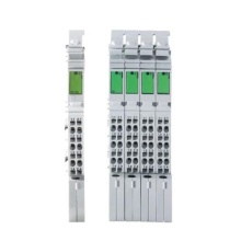 R-IB IL Analog Inputs