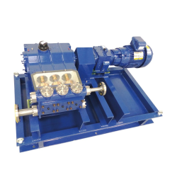Reciprocating Pumps