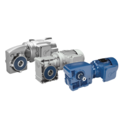 Worm Gear Motors